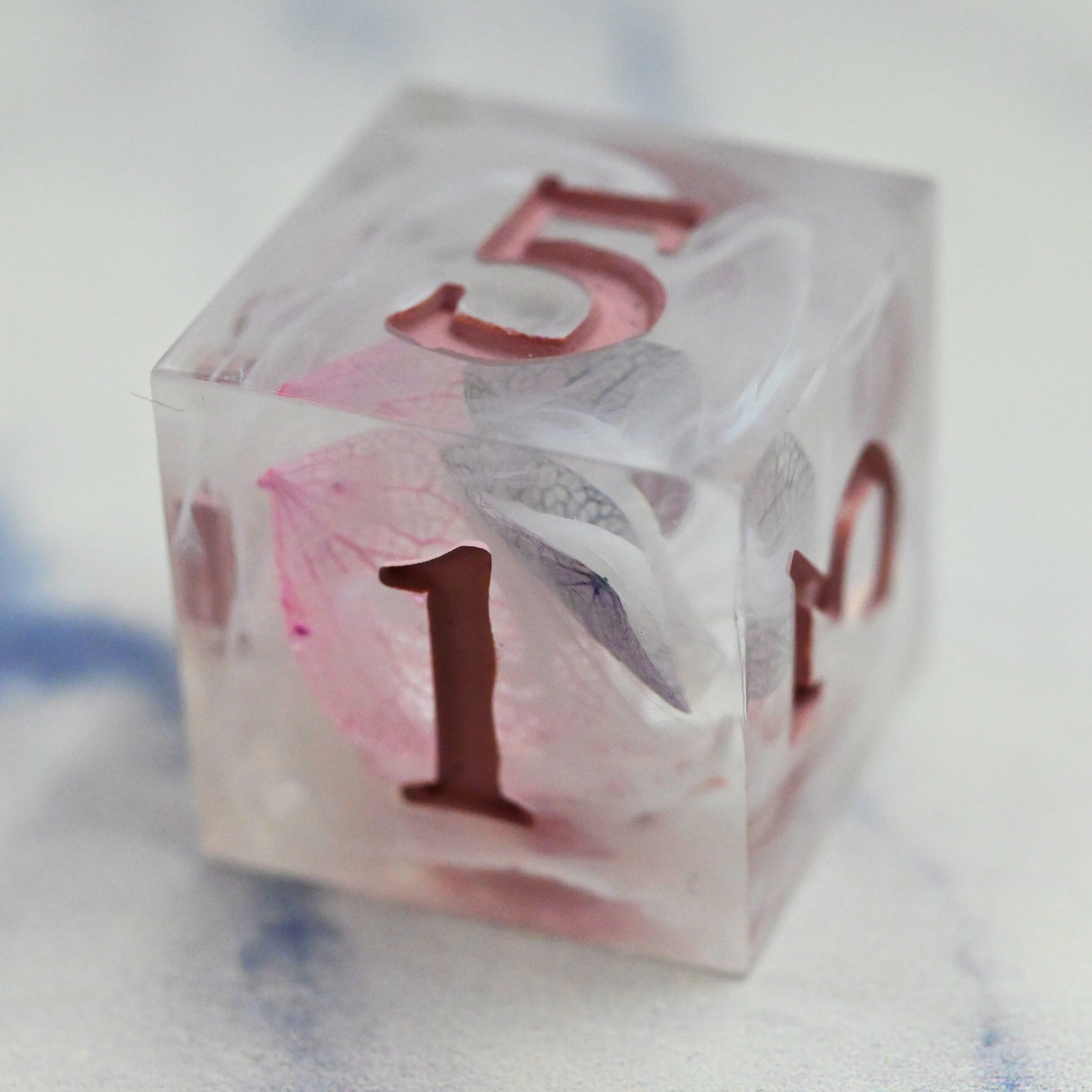 Oracle D6
