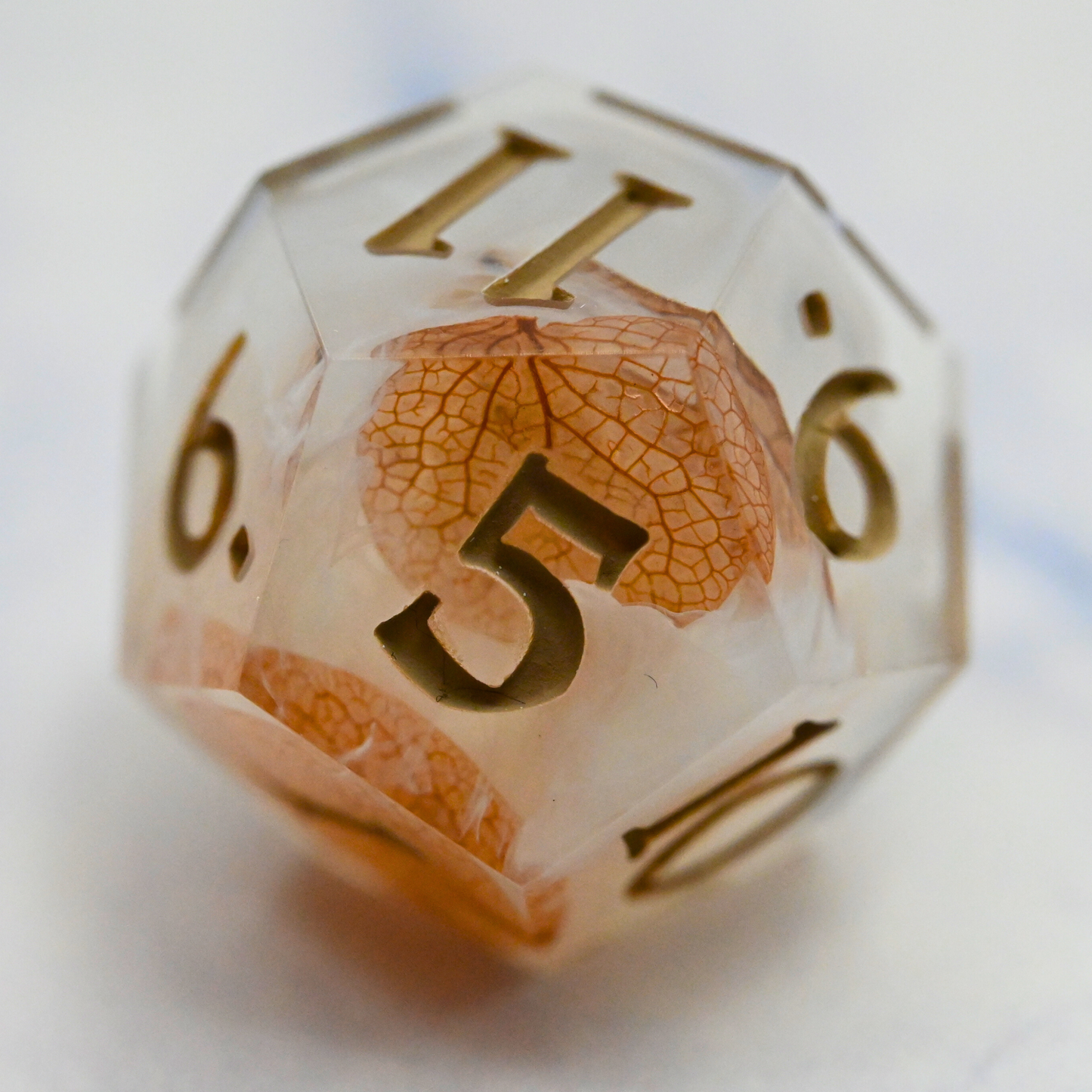 Rustic Grove D12