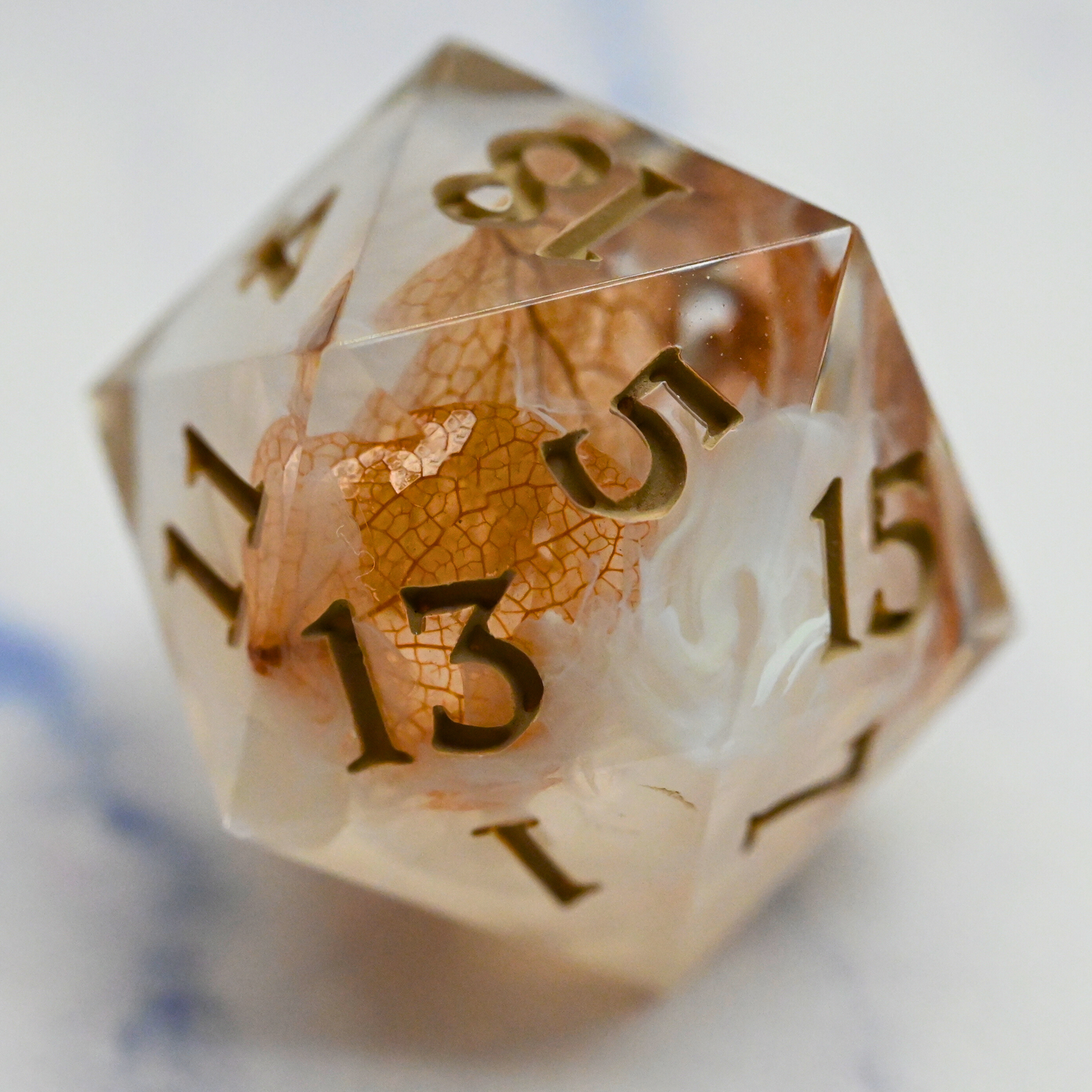 Rustic Grove Logo D20